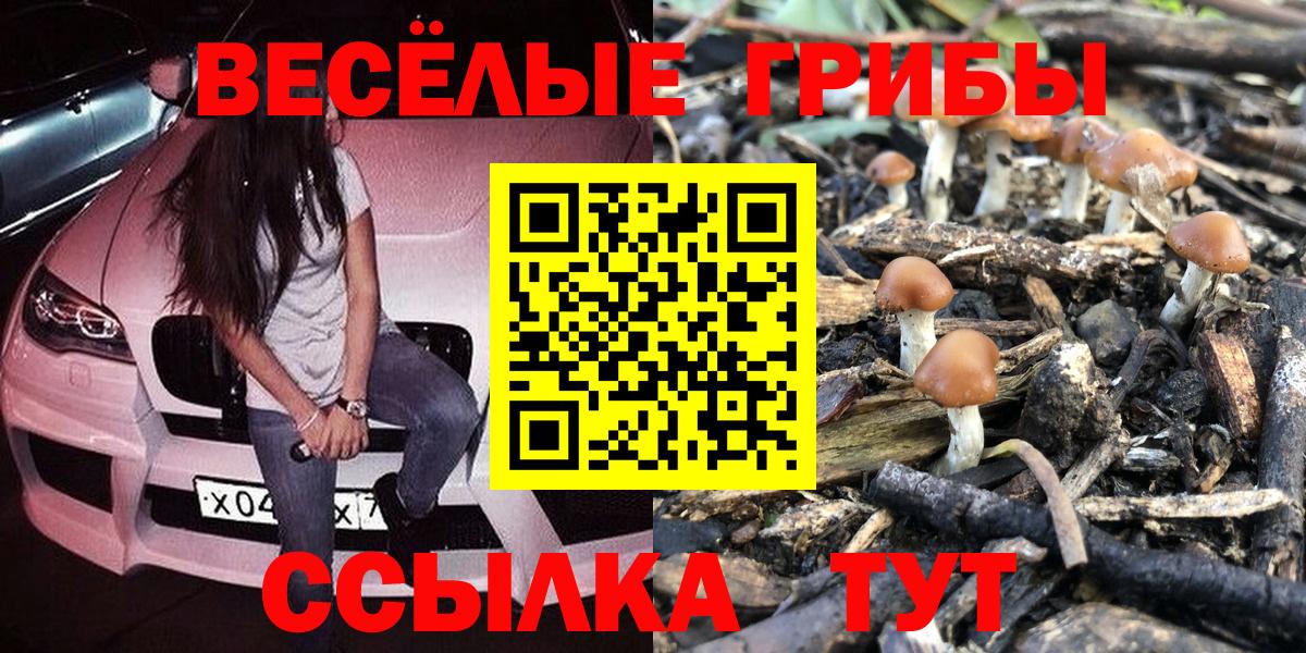 Псилоцибиновые грибы Psilocybine cubensis Кропоткин