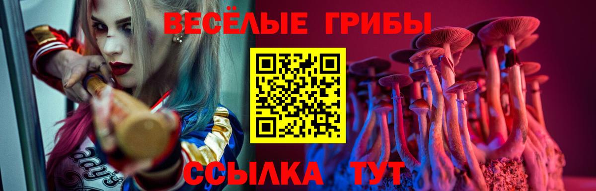 Кропоткин  Галлюциногенные грибы Cubensis  хочу   Вход с VPN 